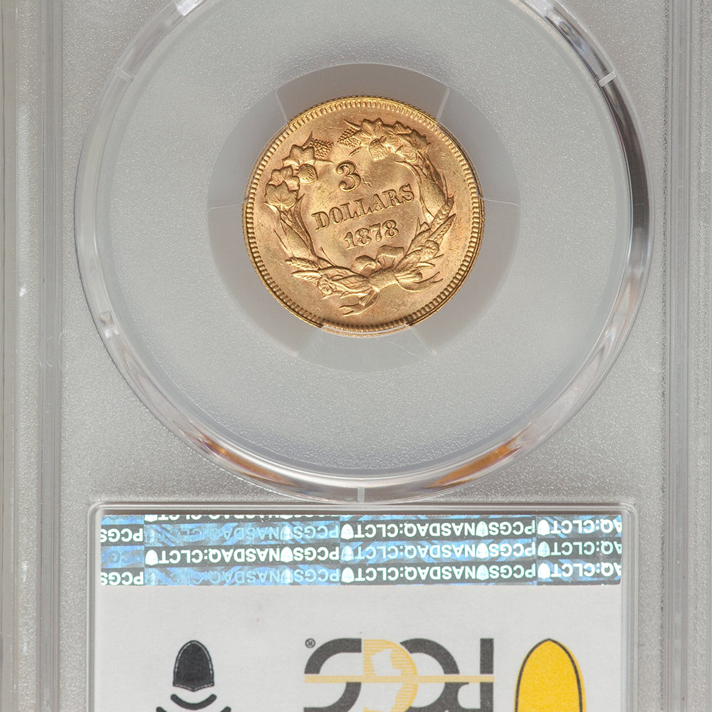 
                  
                    $3 Indian Princess (Random Year)
                  
                
