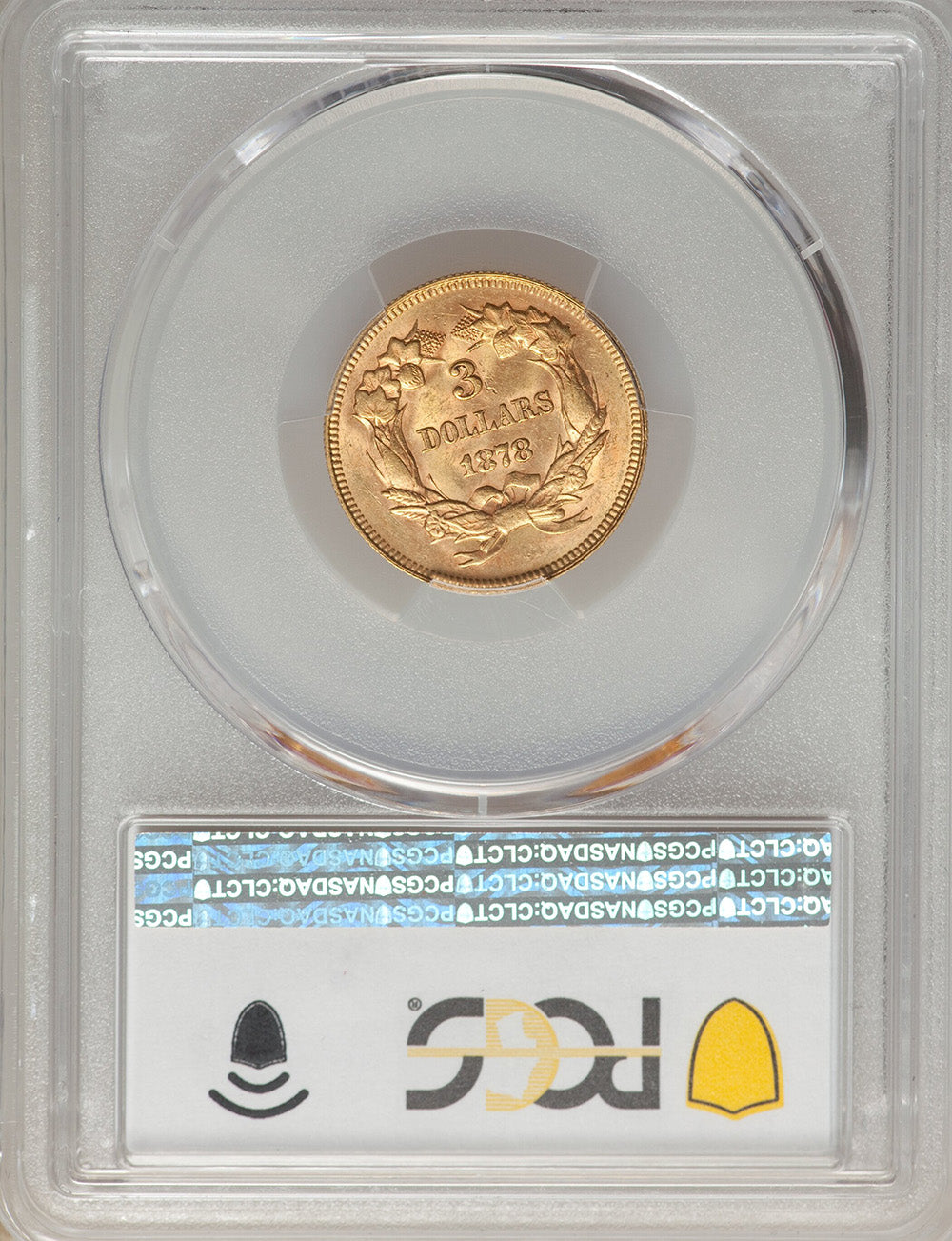 $3 Indian Princess (Random Year)