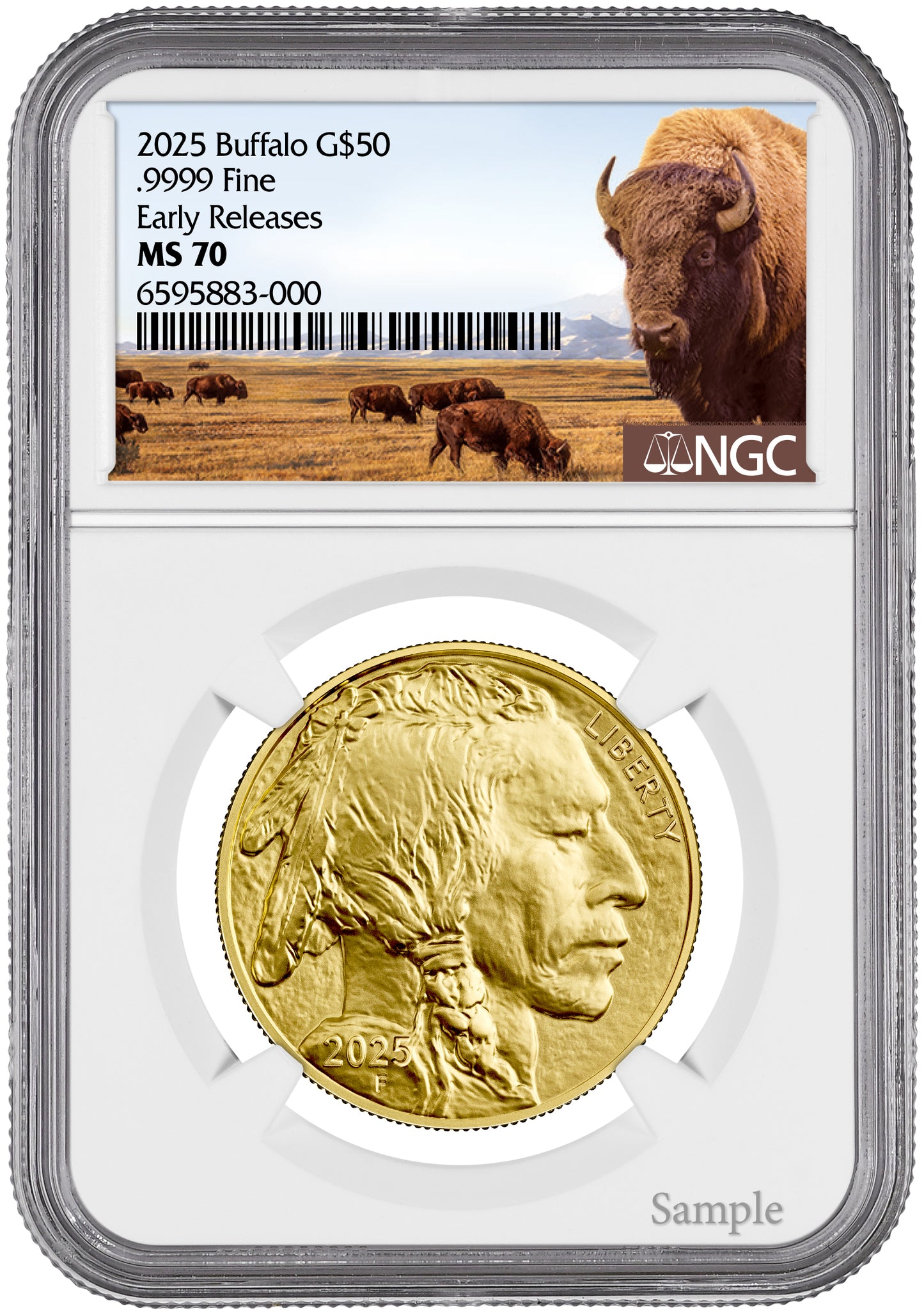 2025 1 oz American Gold Buffalo NGC