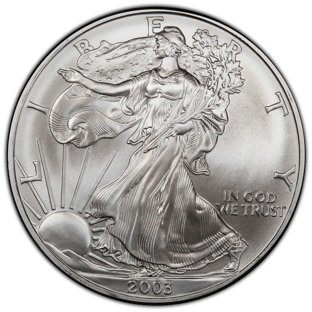 
                  
                    2003 1 oz American Silver Eagle NGC
                  
                