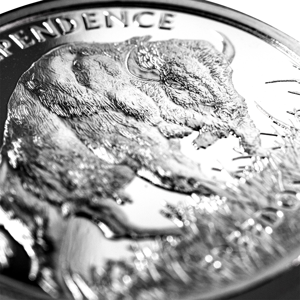 1 oz Silver PAMP Buffalo Round